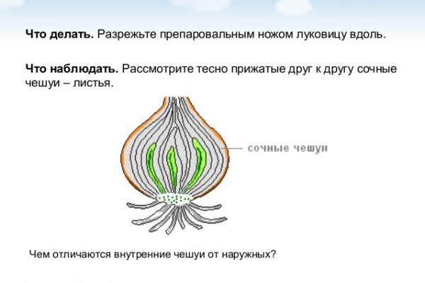 Можно ли восстановить аккаунт в кракен даркнет