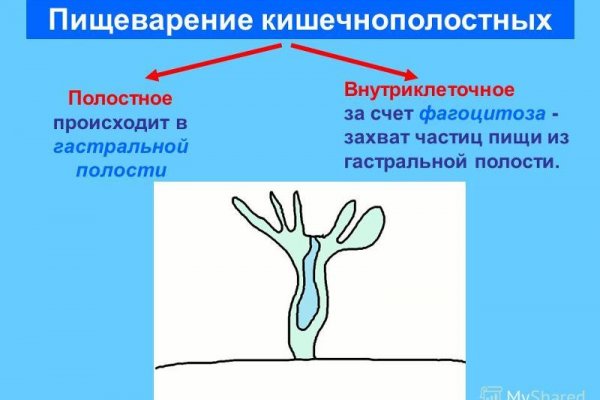 Официальный сайт даркнета